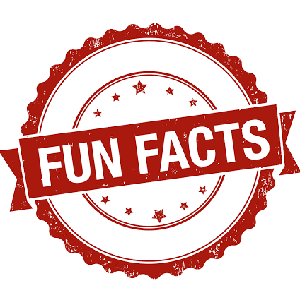 FunandFact