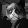 paranormalmemes