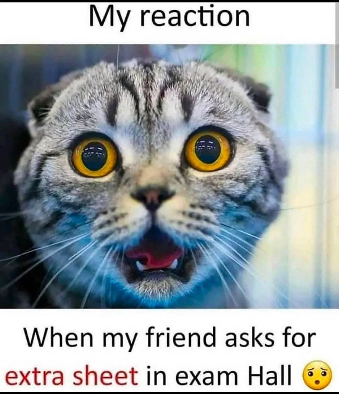 😂😂