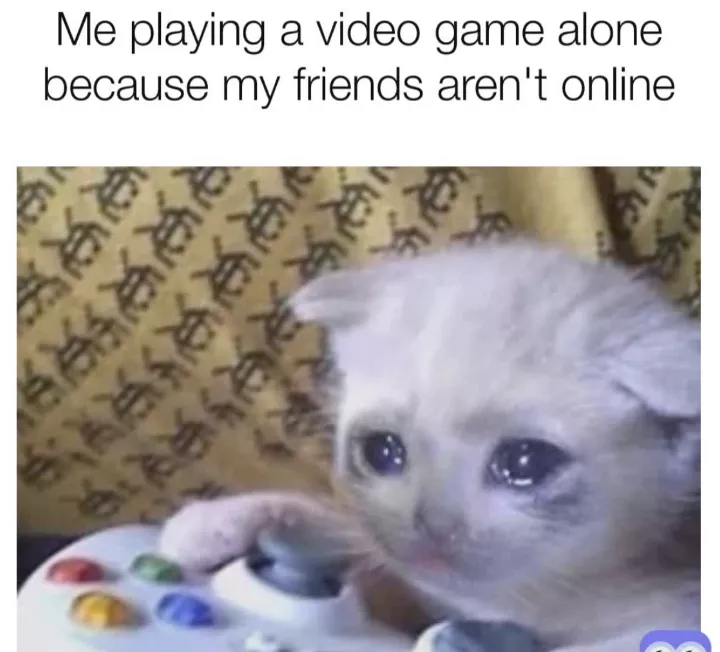 😂😂😂