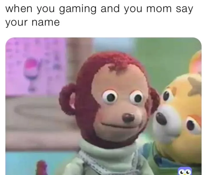 😂😂😂