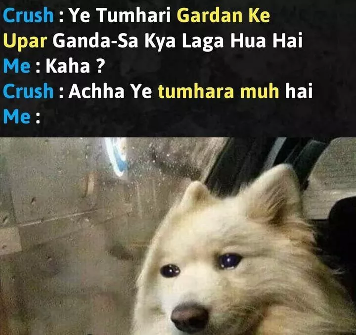 😂😂😂
