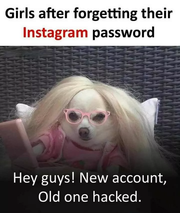 🤣😂