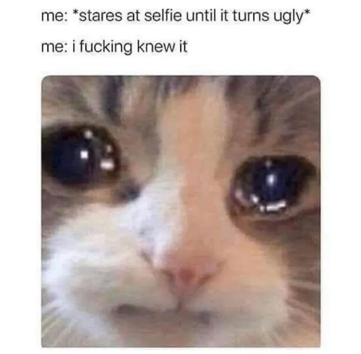 😂😂