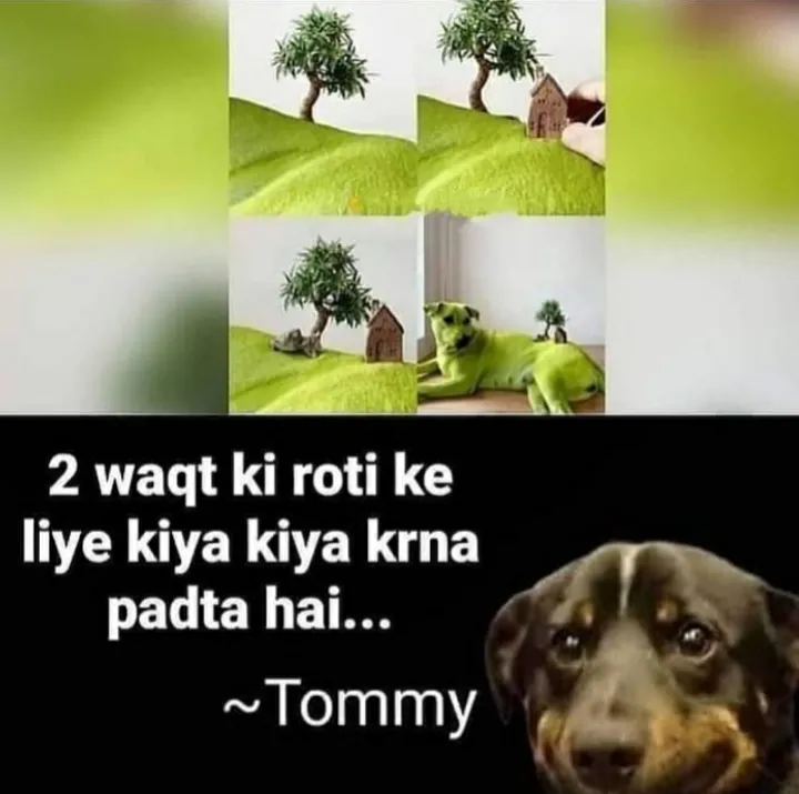 😂😂