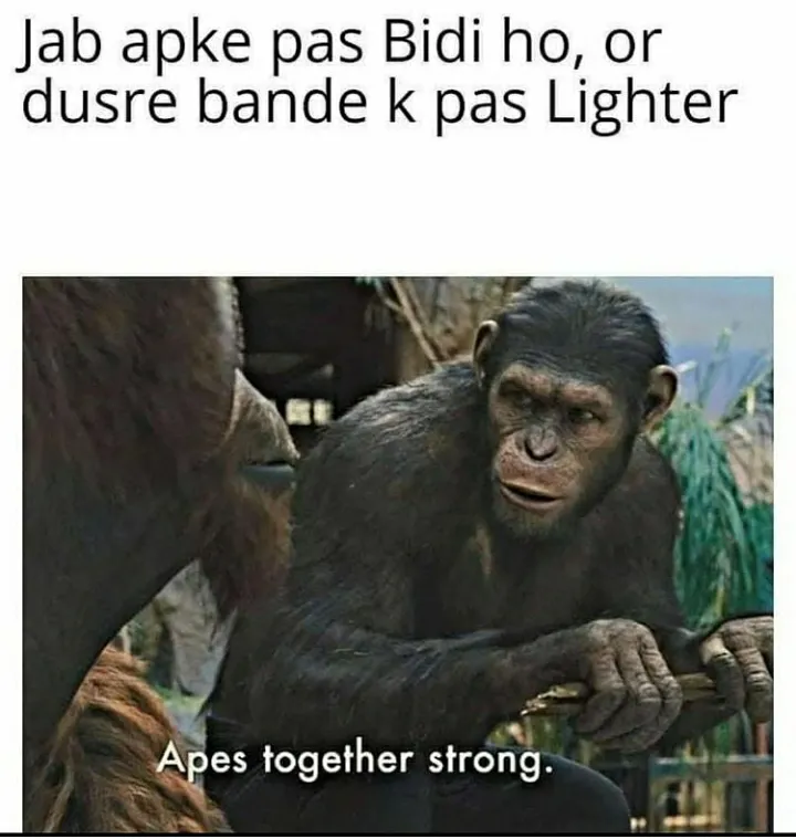 🤣🤣🤣🤣🤣🤣🤣🤣