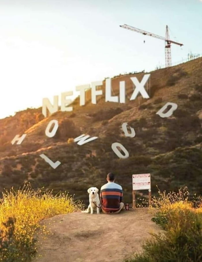 2020 edition