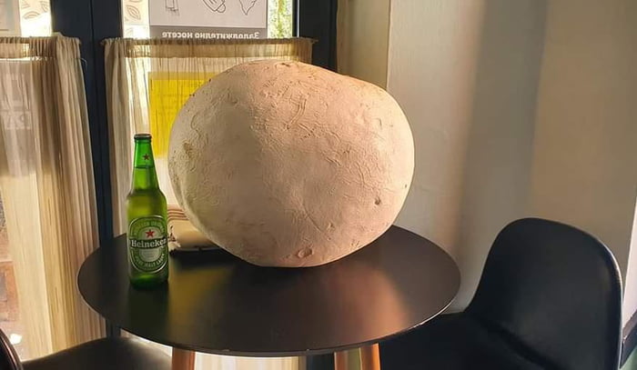 A friend found a 9,5kg puffball in edible state, most likely the country record