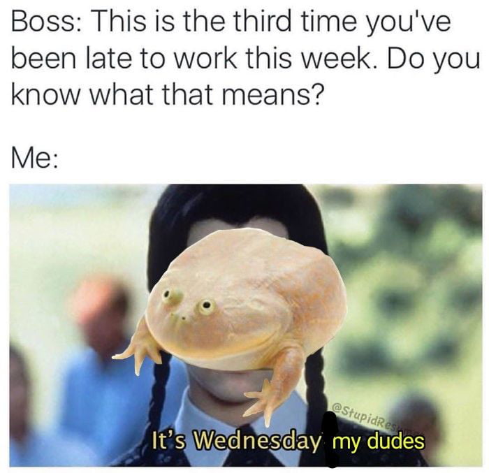 A little midweek positivity