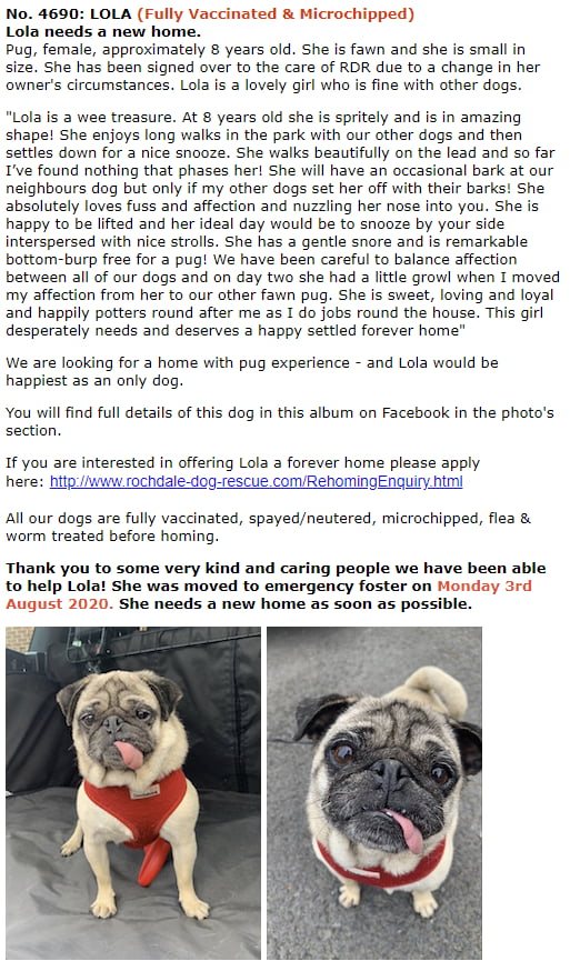 Adopt a derp