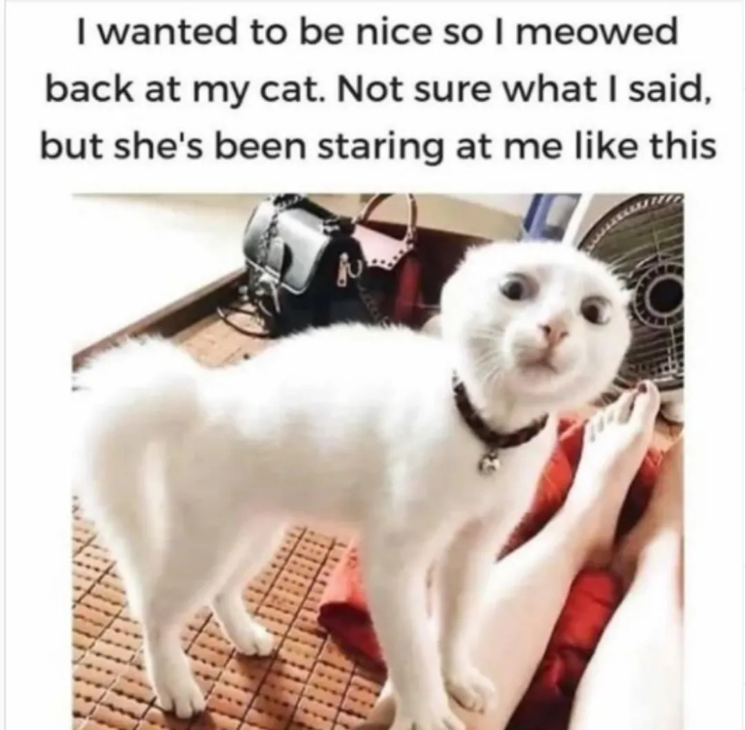 Ah traumatized