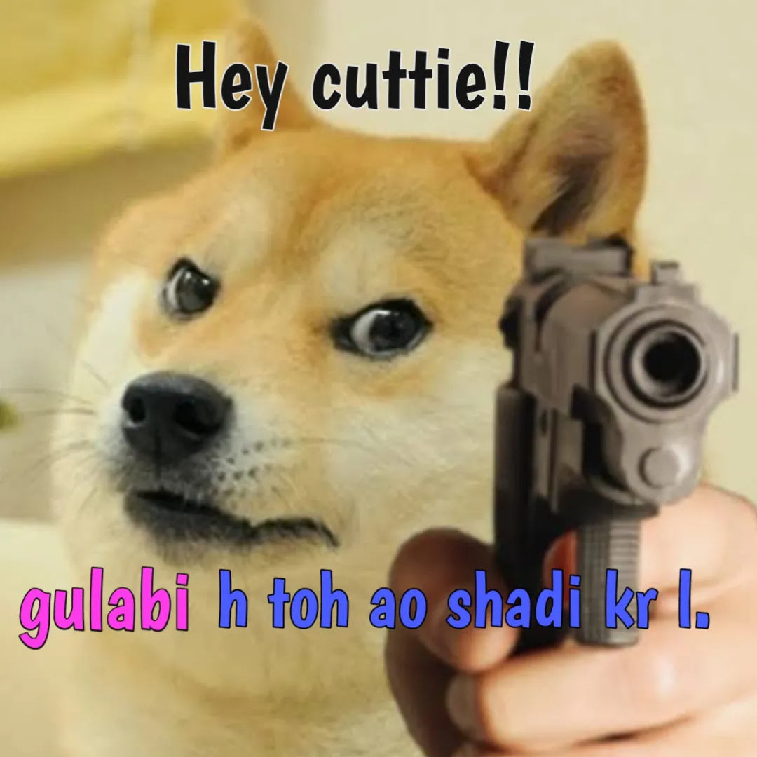 Ajao cutie