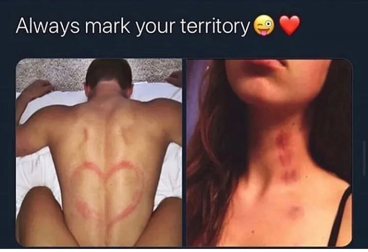Always make your tarrior