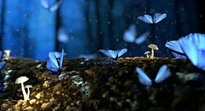 Amazing wallpaper