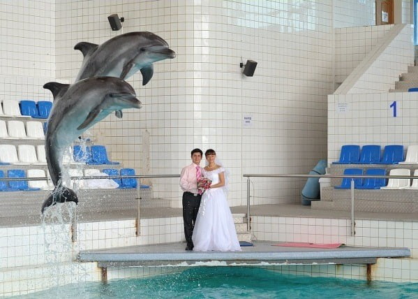 An everyday wedding picture