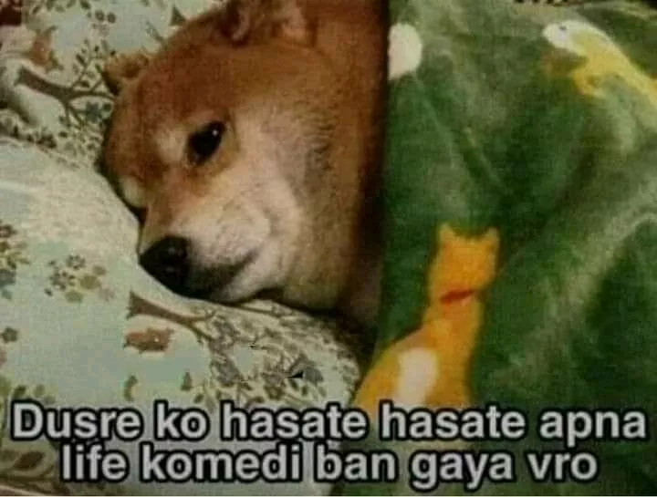 Apne life ke he meme ban gaye hai