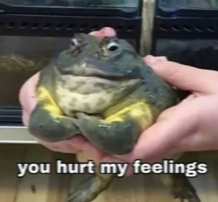 Apologize right now