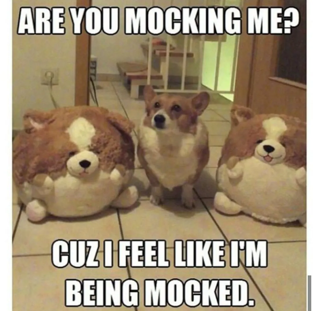 Are you mocking me