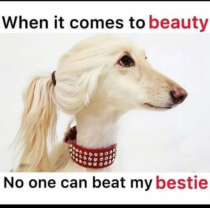 Beauty girl