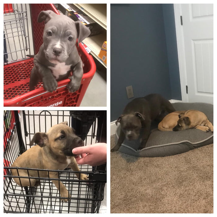 Best friends from the jump!