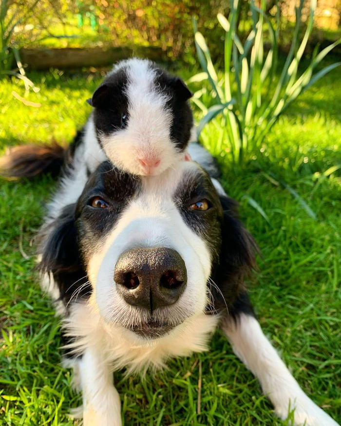 Besties!