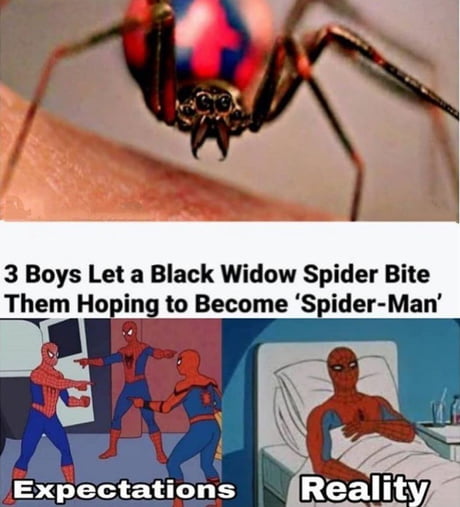 Big brain