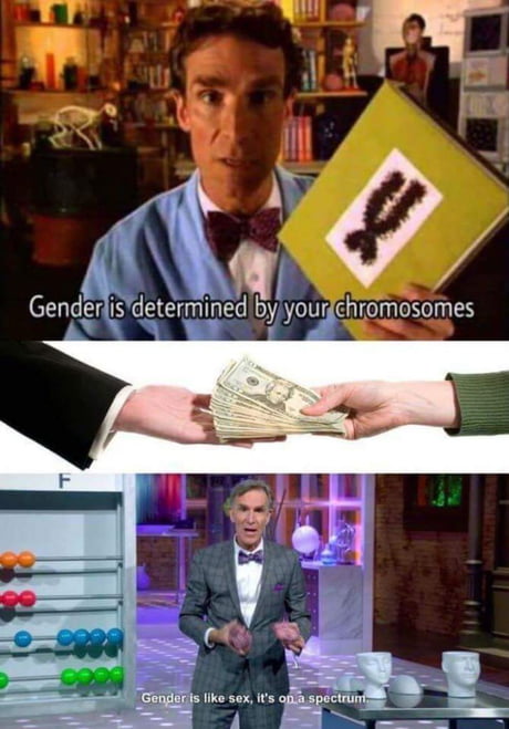Bill goy the bachelor guy