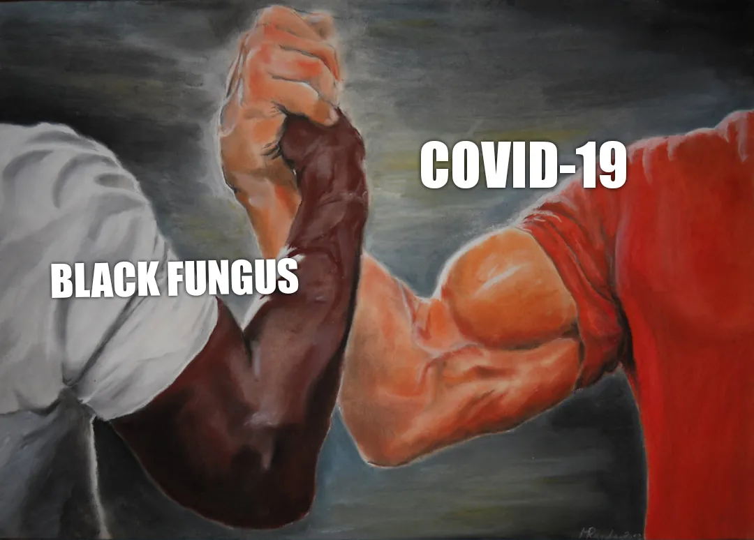 Black fungus vs covid-19