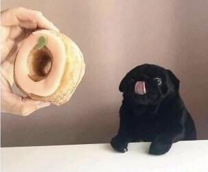 Blep