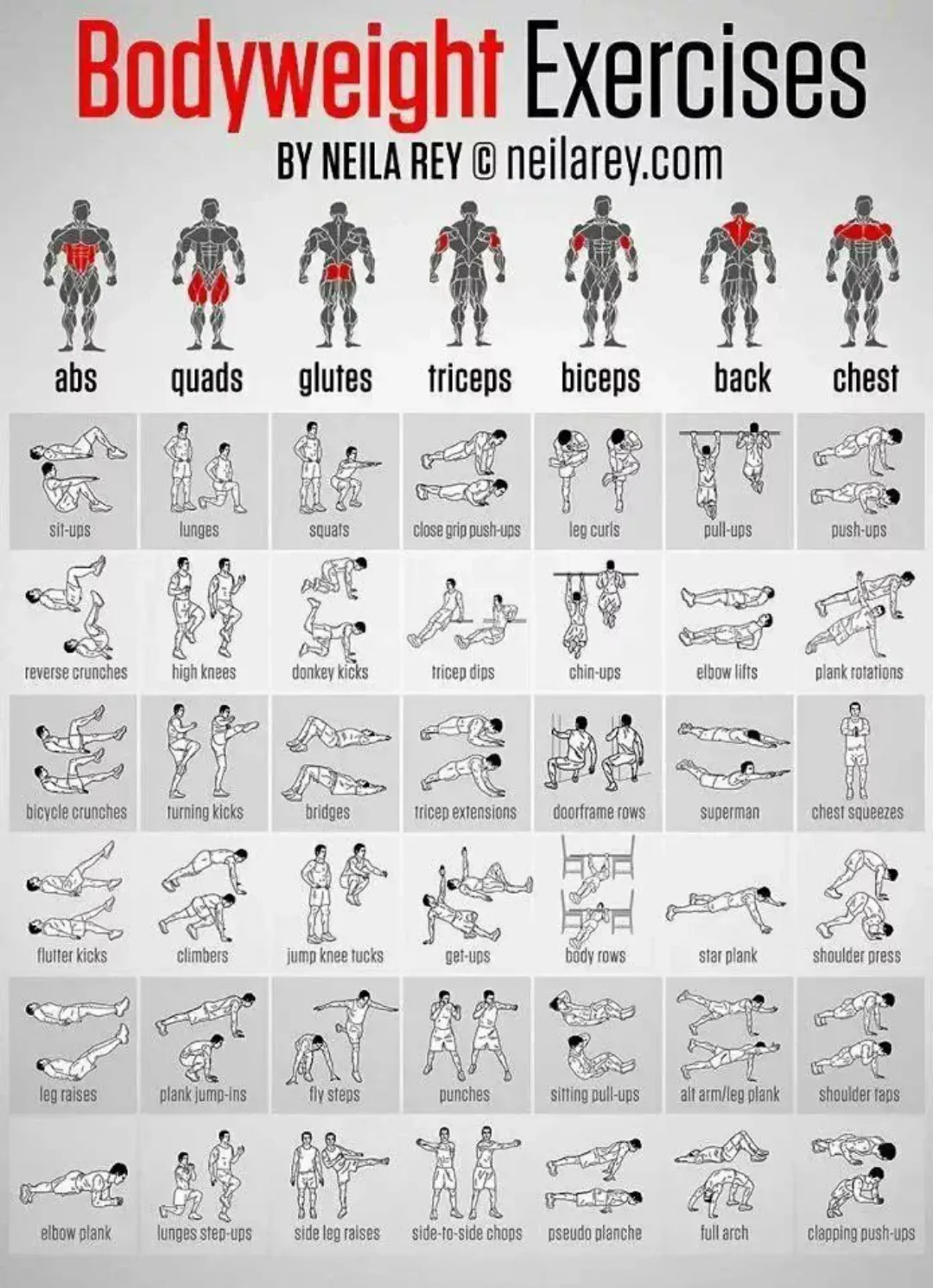 Bodyweight Exercises 