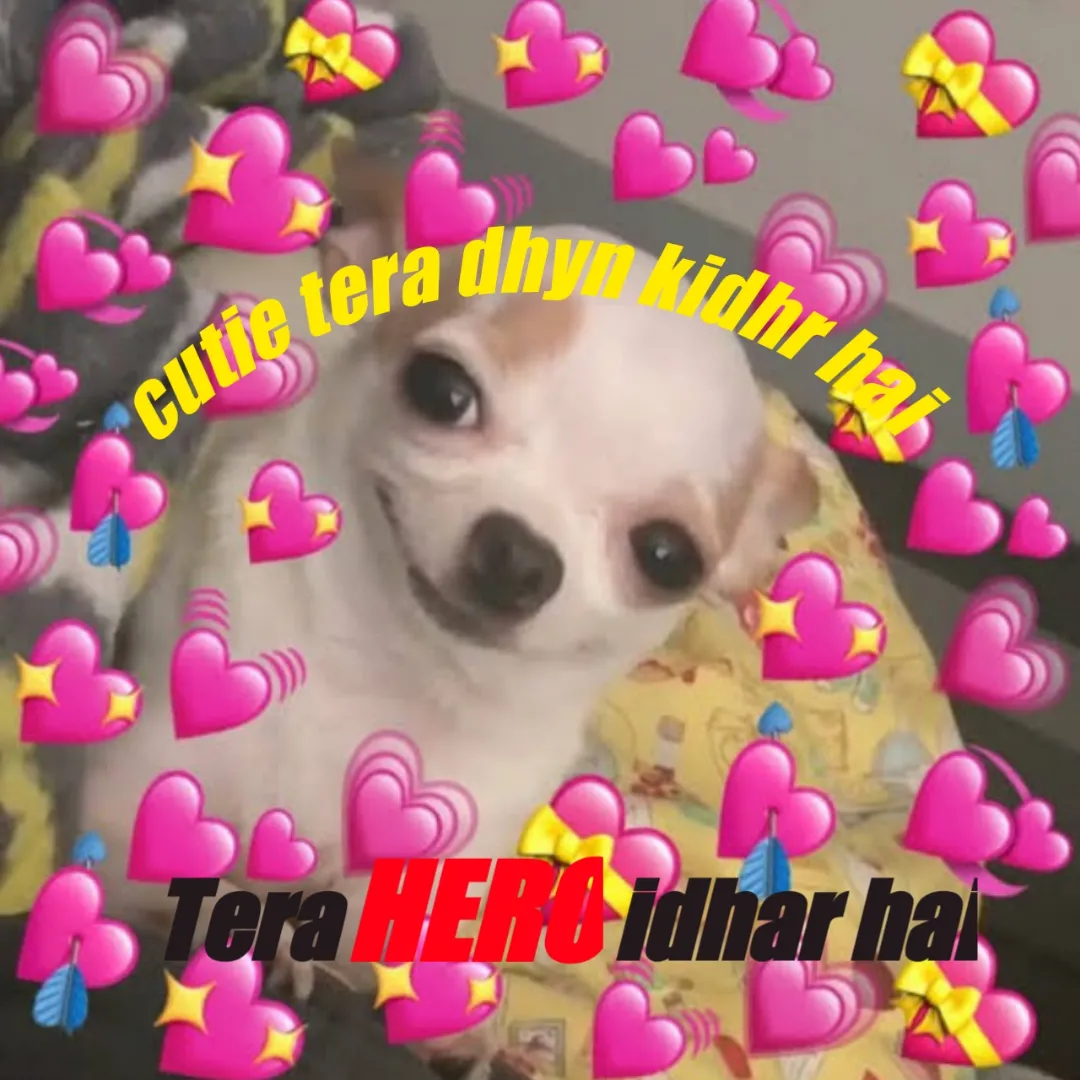 Bolo cutie