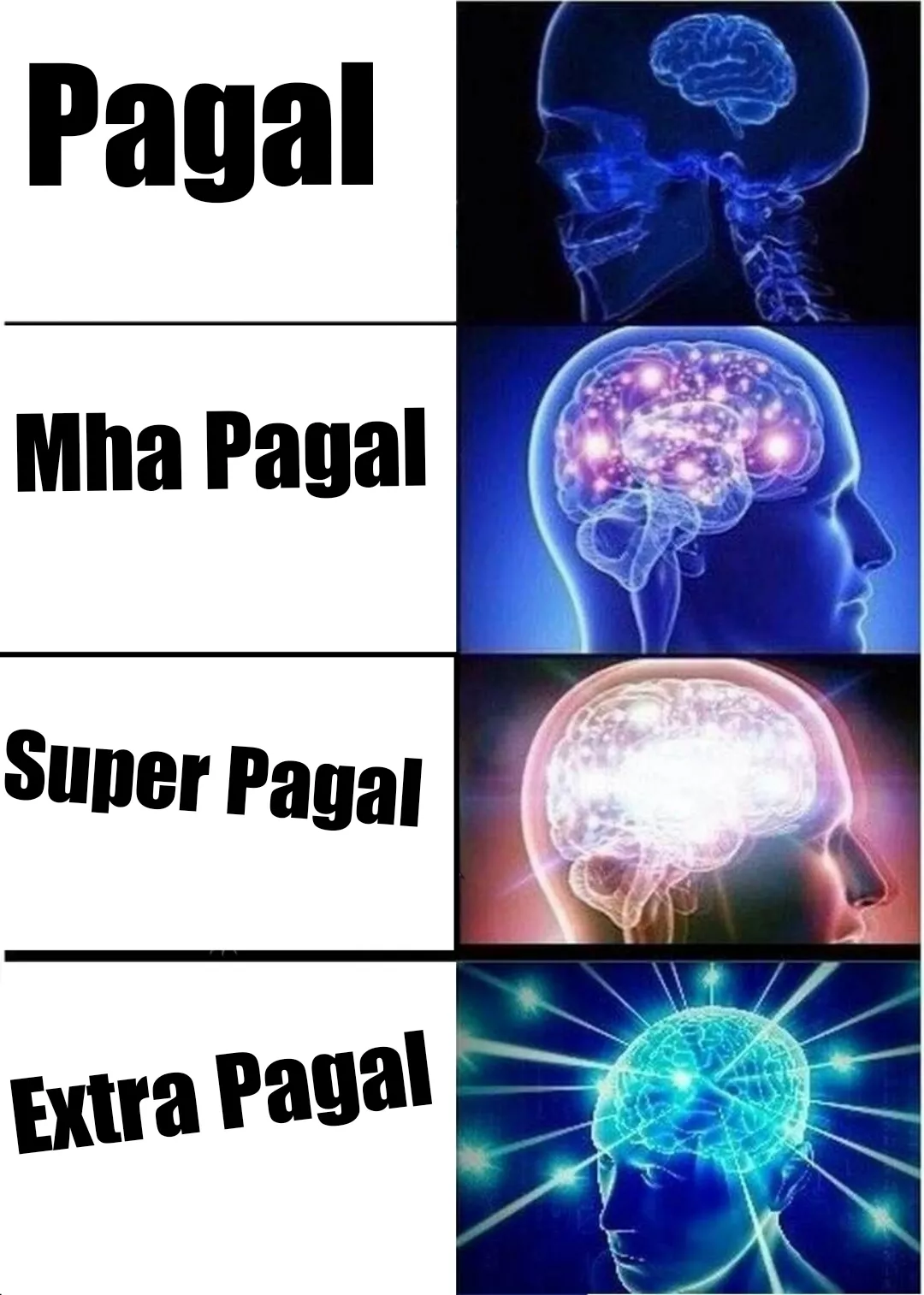 #brains