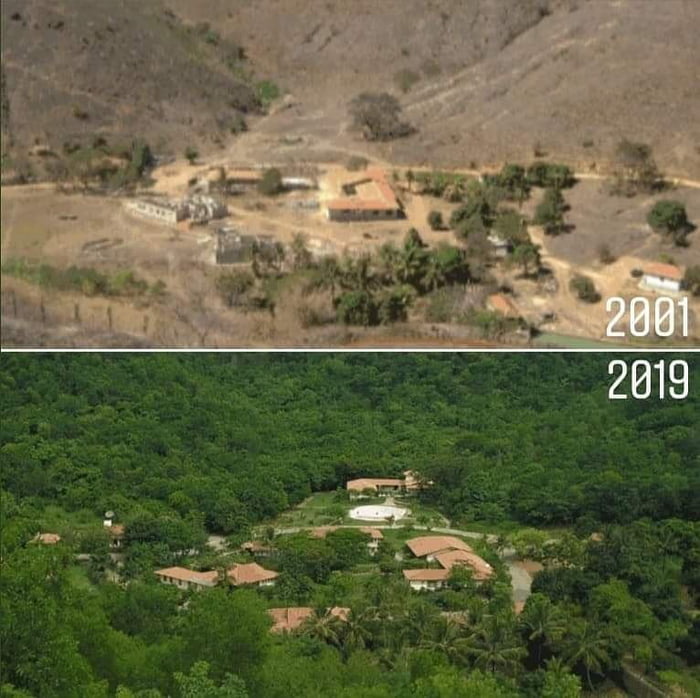 Brazilian photographer Sebasti&atilde;o Salgado and his wife L&eacute;lia Deluiz Wanick Salgado planted 2.7 million trees over the span of two decades with the help of people, completely restoring an entire forest that had been wiped out by deforestation.