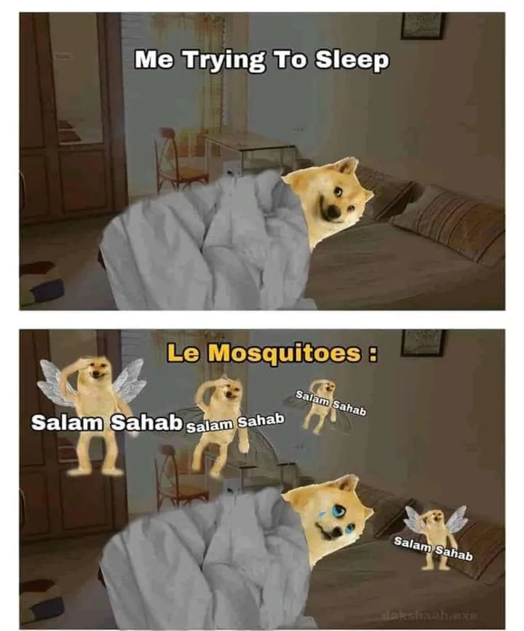 Bsdk macchar🤬