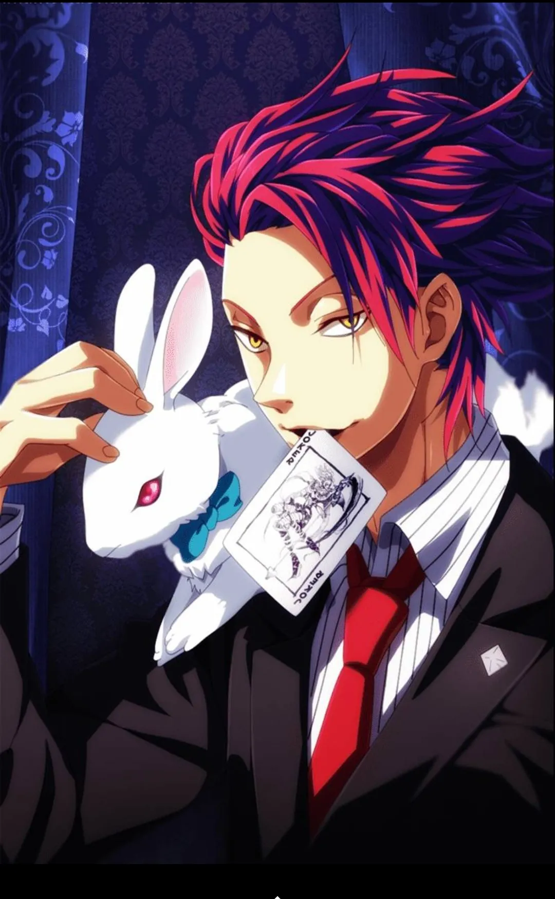 Card master hunter x hunter