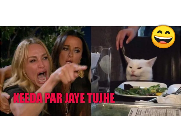 Cat Funny Meme