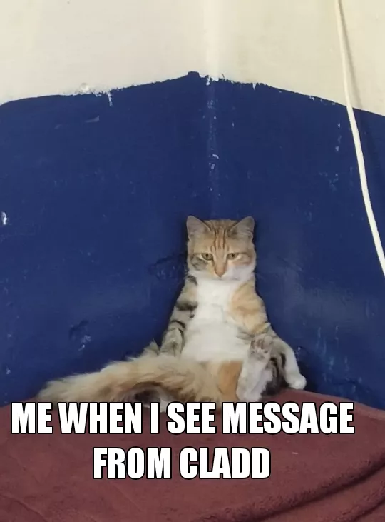 Cats ms..