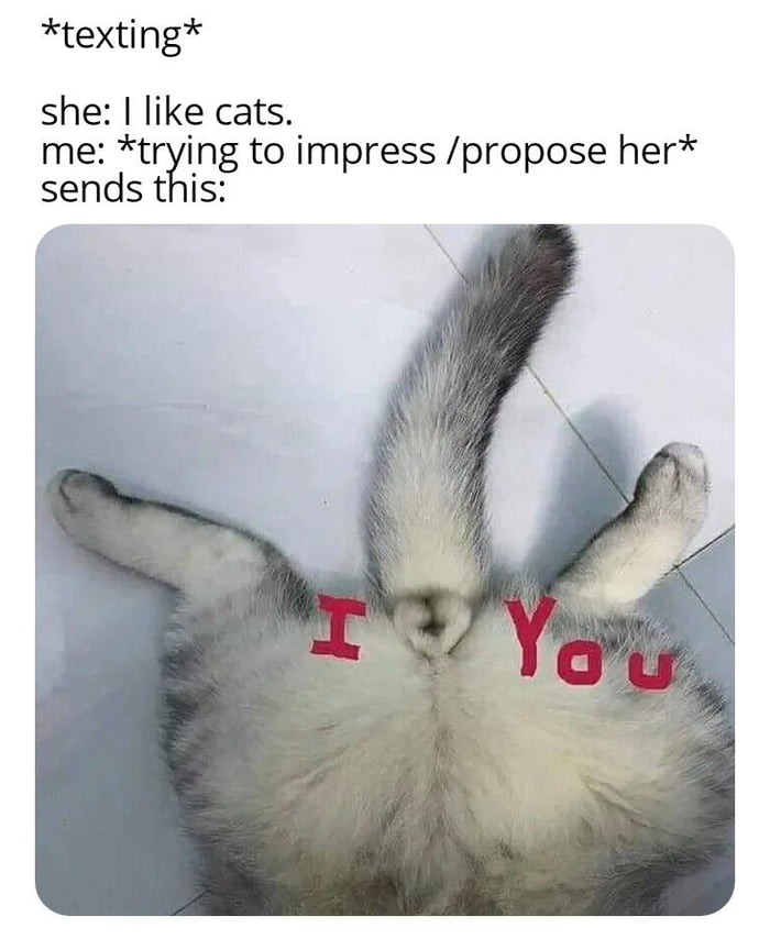Chicks Love Cats Memes Chicks Love Cats Meme Templates Chicks Love Cats Reaction Memes Memeadda