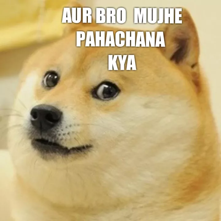 Chimtu ke memes
