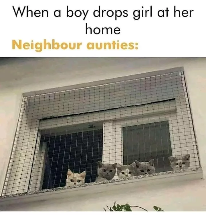 Cid aunties