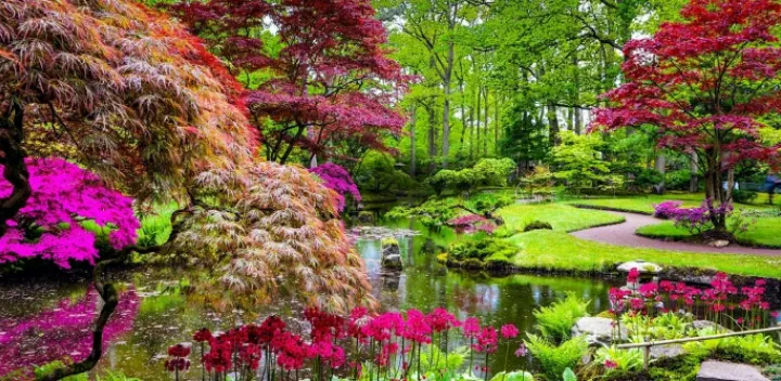 Colourful nature