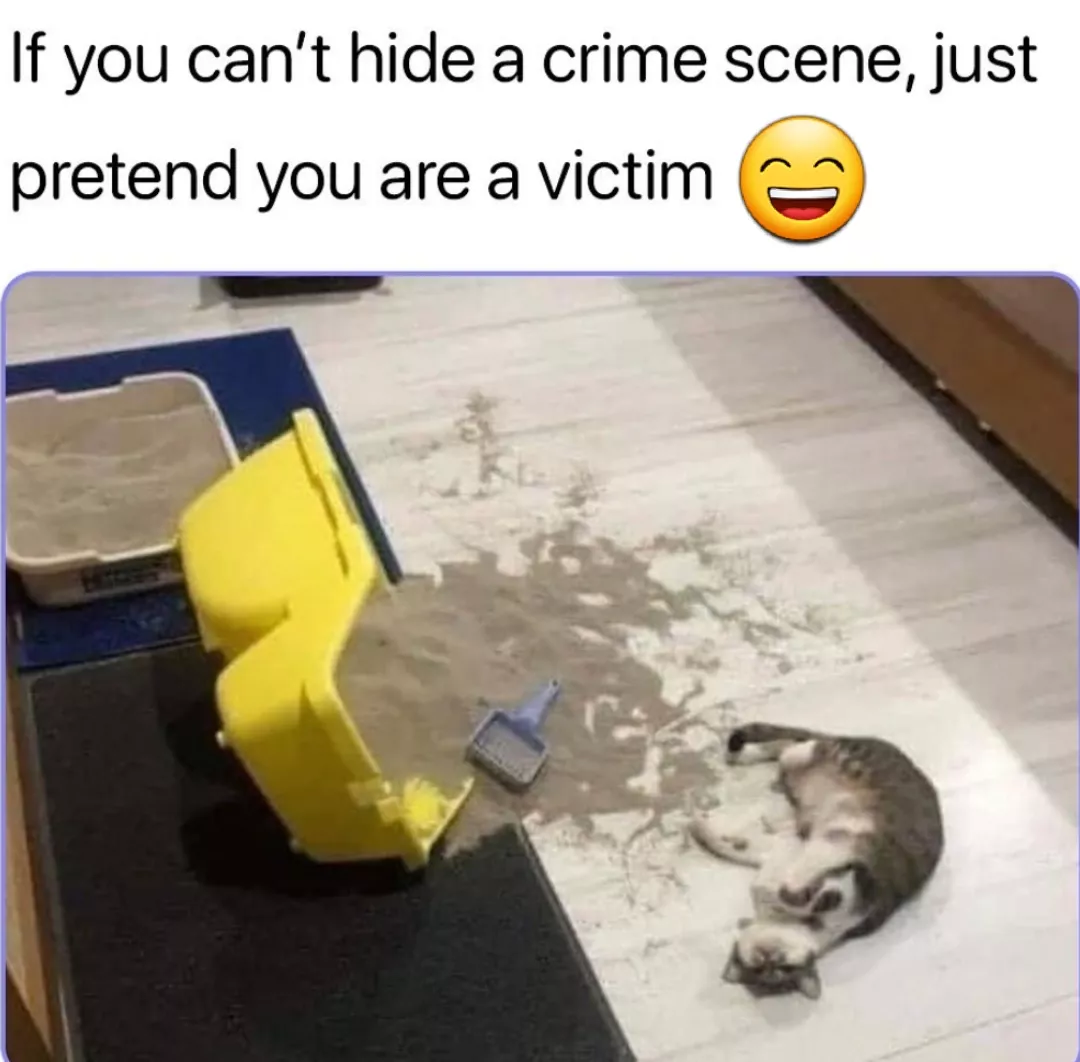 comedy meme