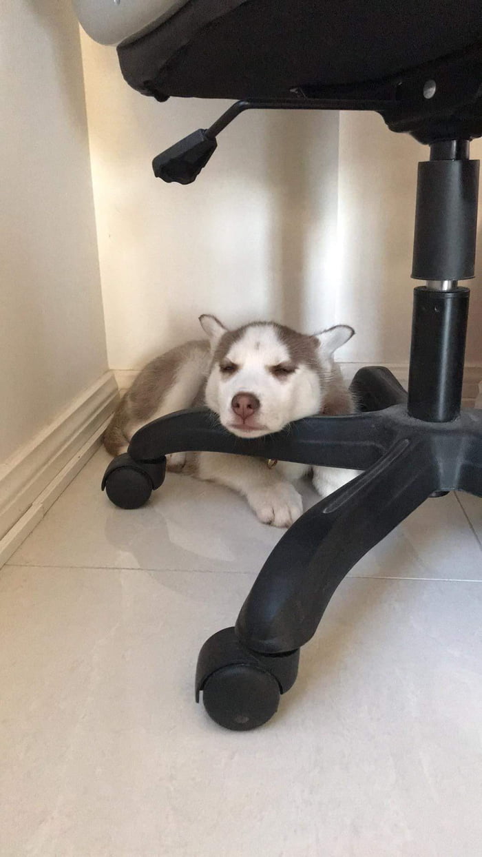 Comfy?