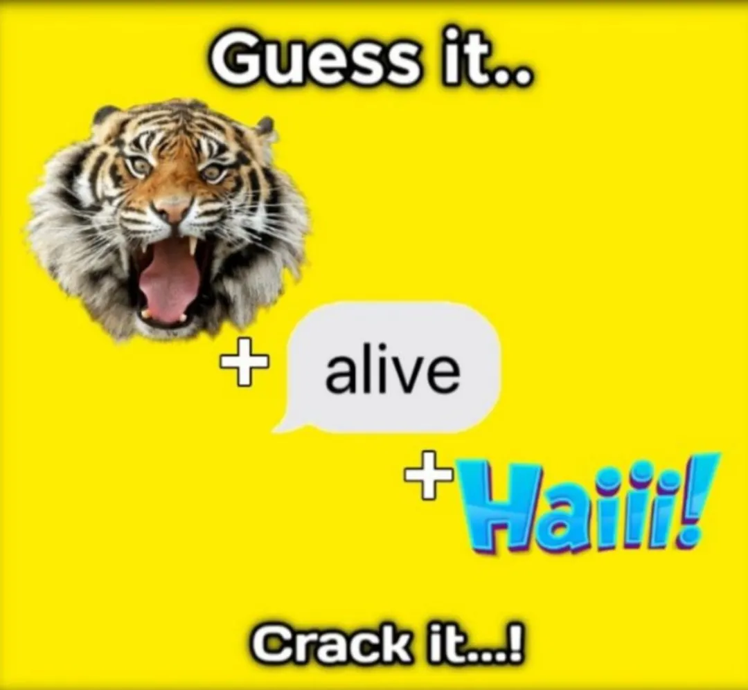 Crackit , guess it