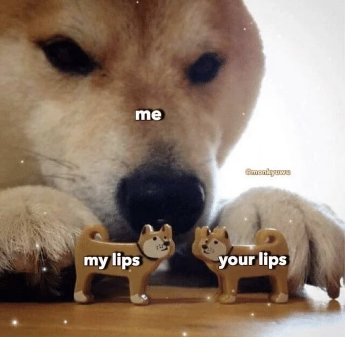 Cringe memes that I like but can&rsquo;t relate to #15