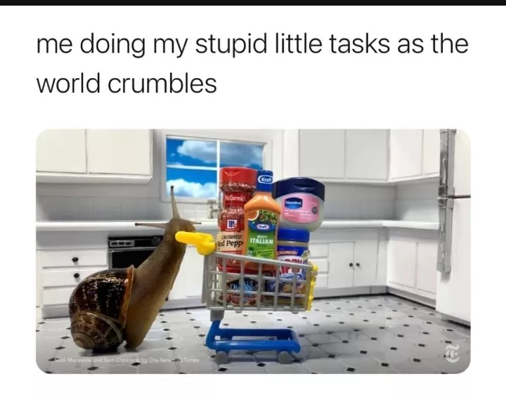 Do you do same...