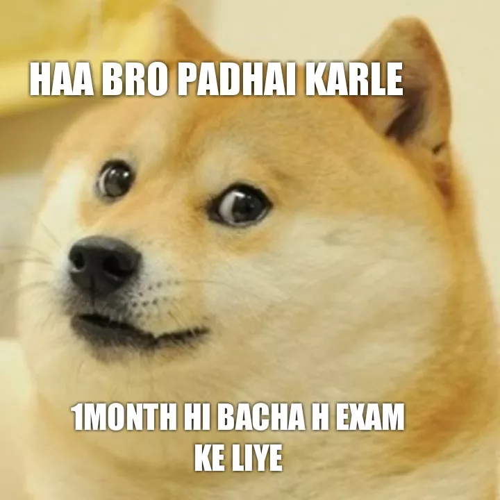 doge