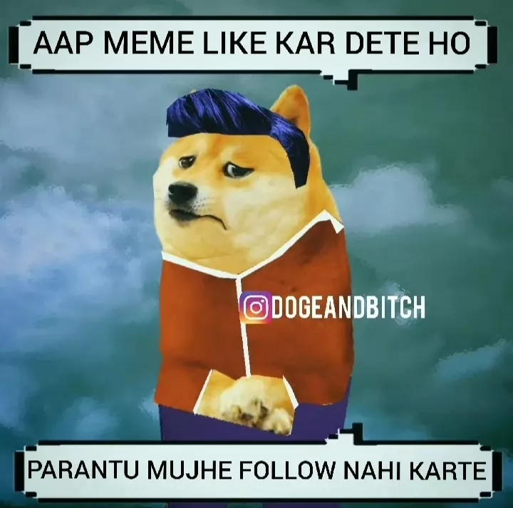 @dogeandbitch memes