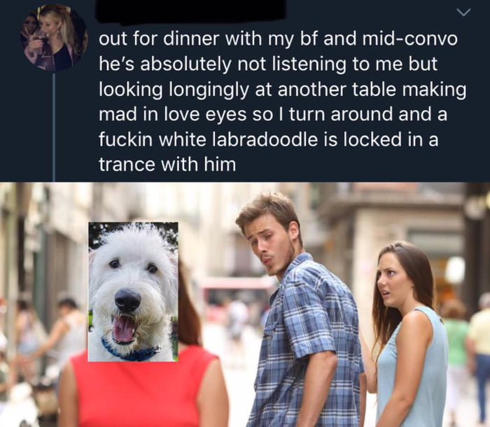 Doggo is forever