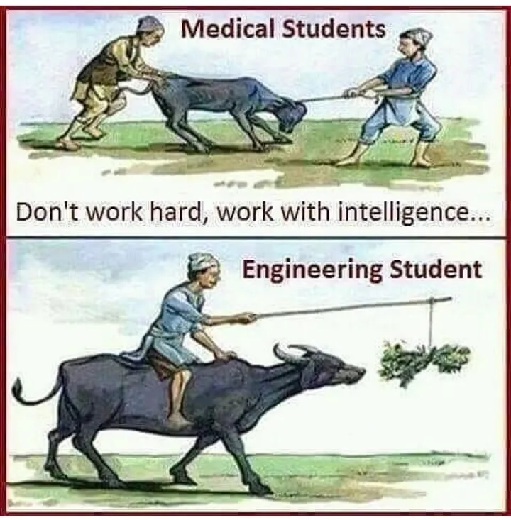Enginerring student
